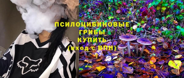 твердый Осташков